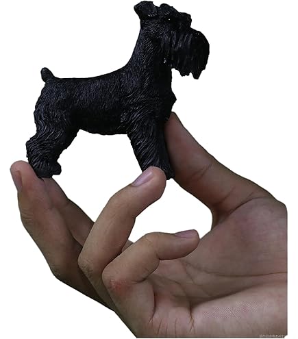 Amazon.co.jp: (Small Size, Gray Schnauzer) - Sandicast Small