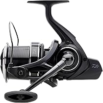 Amazon | ダイワ(DAIWA) 23 エンブレム 35 SCW QD ビッグピット