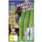 ナント種苗 大和三尺胡瓜(きゅうり)
