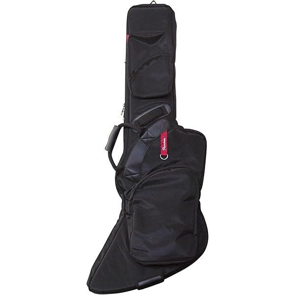 bruff　エクスプローラー（変形ギター）用ギターケース Amazon.co.jp: RITTER RGB4-EX ANT BERN Explorer Guitar エレキ