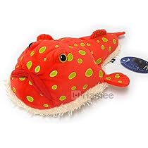 アンコウ　鮟鱇　さ深海魚　小皿　さらに　カラトリー　アクセサリーケース　海　魚 アンコウ 鮟鱇 さ深海魚 小皿 さらに カラトリー アクセサリー