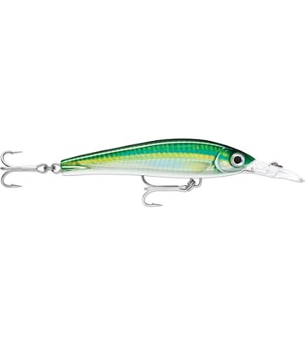 Amazon.co.jp: ラパラ(Rapala) エックスラップマグナム XR30MAG-BBTO