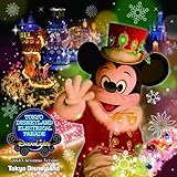東京ディズニーランド・エレクトリカルパレード・ドリームライツ ~2015 クリスマスバージョン