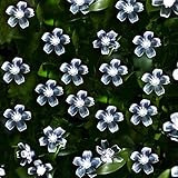 LE? 23ft 17m LED Solar Fairy Lights, Waterproof, 50 LEDs, Daylight White, Portable, with Light Senso