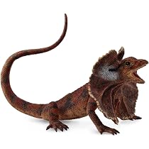 エリマキトカゲ Amazon.co.jp: COLLECTA 昆虫フィギュア エリマキトカゲ 88690 : おもちゃ