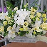 蘭の花を使った お供え お悔やみアレンジメント (白を中心に, Mサイズ)