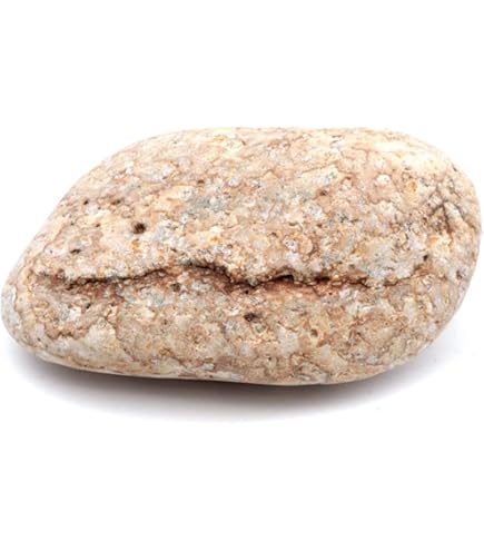 Amazon.co.jp: 姫川薬石 自然石 300g タンブル 中サイズ 新潟県 糸魚川