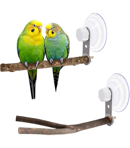 Amazon | 鳥の窓/浴室/車/旅行用止まり木スタンド 吸盤付き 小中鳥