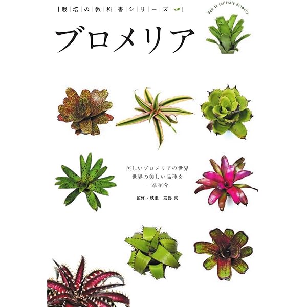 エアプランツとその仲間たち ブロメリアハンドブック | 藤川 史雄 |本