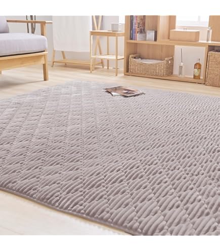 ニトリで購入したシャギーラグ。 211310000316601.jpg?ts=