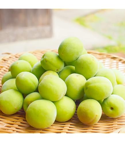 Amazon.co.jp: 和歌山県産 南高梅(完熟梅）約5kg 大粒の3Lサイズ以上