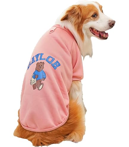 Amazon.co.jp: 志村けん だいじょうぶだぁ 変なおじさん 犬服 ペット服