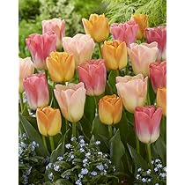 チューリップ スリクソン チューニングウエイト 別売カートリッジ Z585／Z785