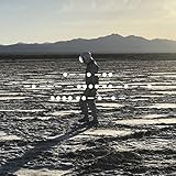 And Nothing Hurt Ltd. Deluxe LP Box [Analog]