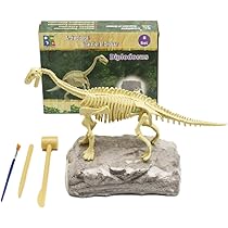 612uAdhi08L._AC_UL210_SR210,