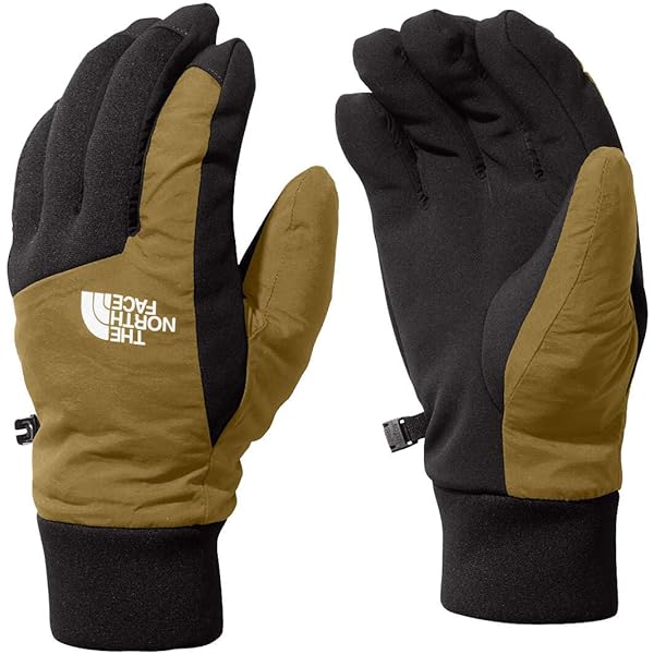 THE NORTH FACE(ザ・ノース・フェイス)GTXマーキュリーグローブ Amazon | [ザノースフェイス] 手袋 GTXマーキュリーグローブ ユニ