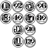 12 Months Baby Stickers, Month to Month Stickers, WHITE SOX BASEBALL Baby Month Onesie Stickers Baby