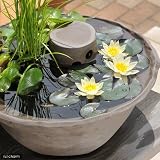 益子焼 彩(SAI) 睡蓮鉢(スイレン鉢) 焼締 メダカ鉢 隠れ家付 睡蓮鉢・金魚鉢・メダカ鉢