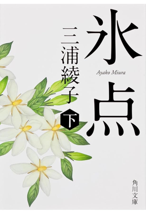 Amazon.co.jp: 『氷点』『続 氷点』 全4冊セット : 本