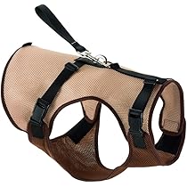 Amazon | リッチェル ドライブベストハーネス 大型犬用 XL