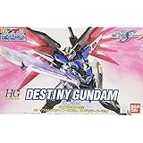 HG 1/144 デスティニーガンダム クリアカラーバージョン（ガンプラEXPO2006）プラモデル