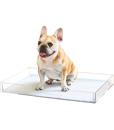 Amazon | 【OFT】 クリアレット 2 M 飛散ガード ハイタイプ | オー