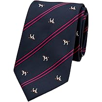 613-r4vswFL._AC_UL210_SR210,