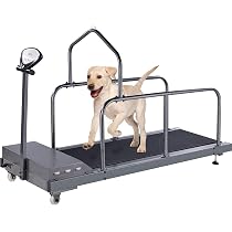 Amazon.co.jp: ペット用トレッドミル 犬用トレッドミル 犬用