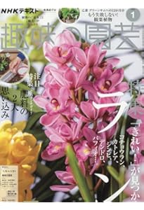 洋ランの育て方完全ガイド (別冊NHK趣味の園芸) |本 | 通販 | Amazon