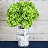 tableclothsfactory 36個Extra Large人工カーネーション花 – ライムグリーン