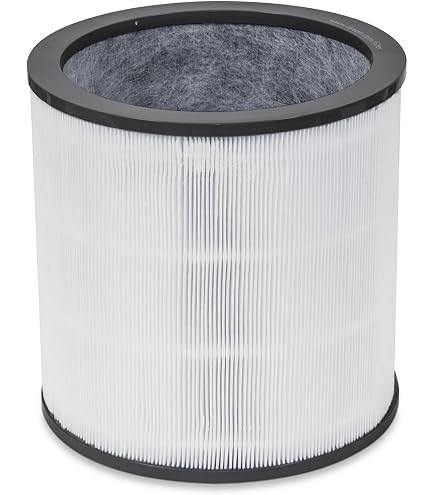 Amazon | Dyson Pure シリ-ズ交換用フィルタ-(AM/TP用) 1個 | Dyson