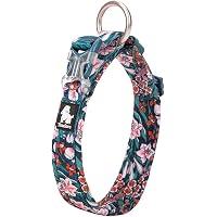 Amazon Co Jp ほしい物ランキング 犬用ベーシック首輪 で ほしい物リストとレジストリに最も多く追加された商品