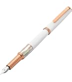 Amazon | Xezo Speed Master 万年筆 極細ペン先.マットホワイトと