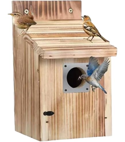 Amazon.co.jp: Niunuolis 【野鳥用巣箱】バードハウス 野鳥用巣箱 木制