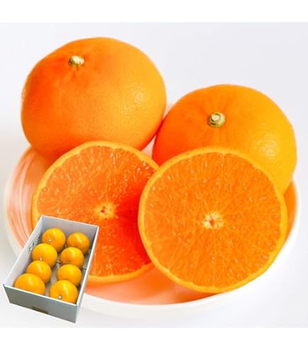 Amazon.co.jp: 【絶品】高級みかん「せとか」約5kg 特選 糖度:約13-14