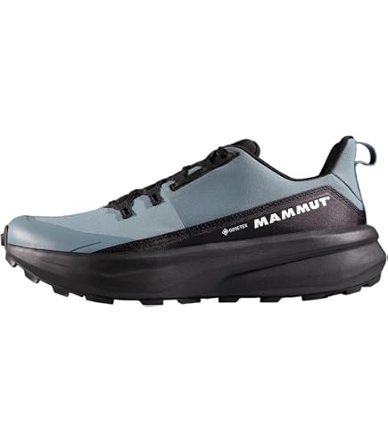 Amazon.co.jp: [MAMMUT] メンズ サーティグ II ロー GTX Sertig II Low