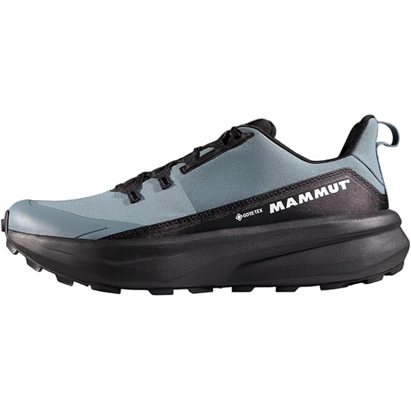 Amazon | [マムート] MAMMUT (マムート) アルナスカ ニット ロー GTX