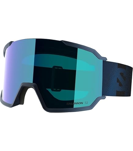 Amazon | [サロモン] スキー スノーボード ゴーグル S/VIEW SIGMA