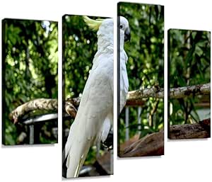 Amazon Co Jp アートパネル 白色オウムのキバタンオウム キバタン バタン 白色オウム 鳥 鳥類インテリア 絵画 壁掛け ポスター キャンバス 部屋飾り アート 壁キャンバス 壁飾り 壁キャンバス絵画 おしゃれ 北欧 新築飾り お祝い 贈り物 ホーム キッチン