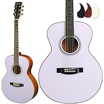 島村楽器　Eris　アコースティックギター　パープル 島村楽器 Eris アコースティックギター パープル