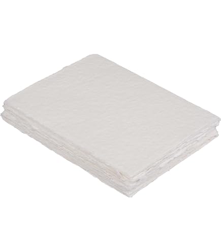 Amazon.co.jp: アルシュ社製 木炭紙 MBM 厚口105g 500×650mm 10枚組