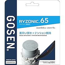 Amazon | ゴーセン GOSEN バドミントンラケット インフェルノ スマート