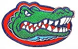 Florida Gators 3.23 " X 2.09 "インチパッチジャケットT -シャツパッチSewアイロン刺繍バッジSign Costum