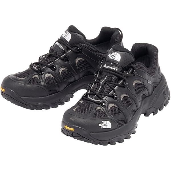 Amazon.co.jp: The North Face NF02542 Sneakers, Hedgehog RVST