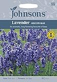 JOFL 英国ジョンソンズシードJohnsons Seeds Lavender Hidcote Blue Strain ラベンダー・ヒドコート・ブルー・ストレイン