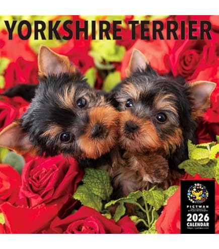 Amazon | THE DOG カレンダー 2026 壁掛け 大判サイズ [ヨークシャー