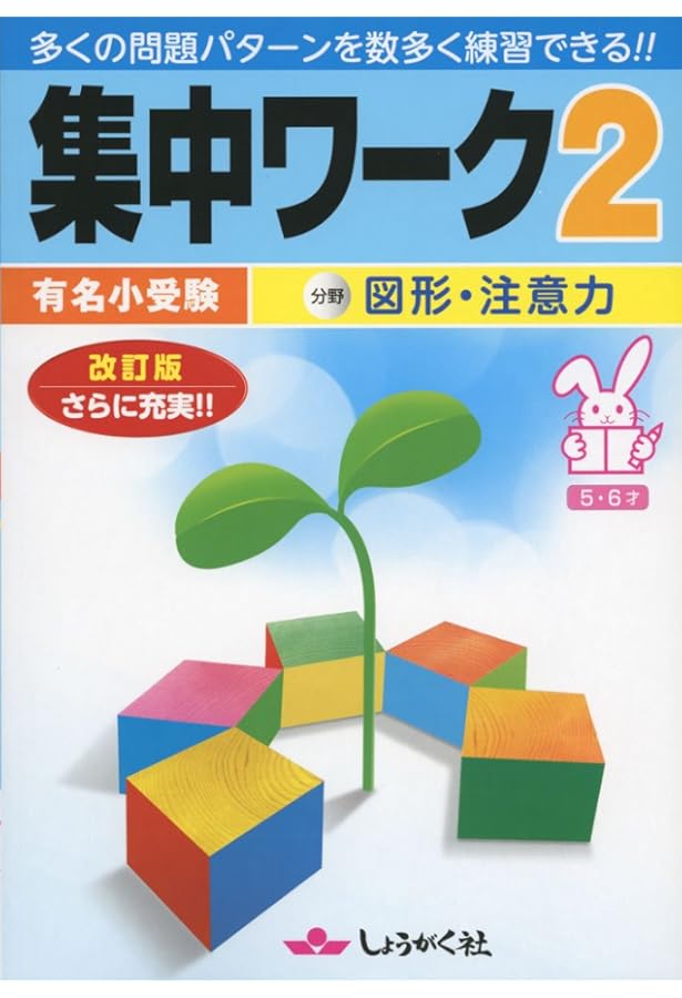 しょうがく社 奨学社 年長 ホームワーク 41冊 一年分 【公式通販】