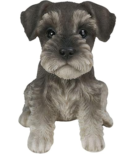 Amazon.co.jp: シュライヒ ファームワールド ミニチュアシュナウザー