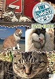 �ɂ�񂽂� DVD-BOX