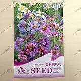 オリジナルパッケージの花の種、チリの朝顔苦しそう舌、成熟した開花80日、30粒子の種子/バッグ